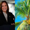 Why is Kamala Harris being associated with a coconut tree?