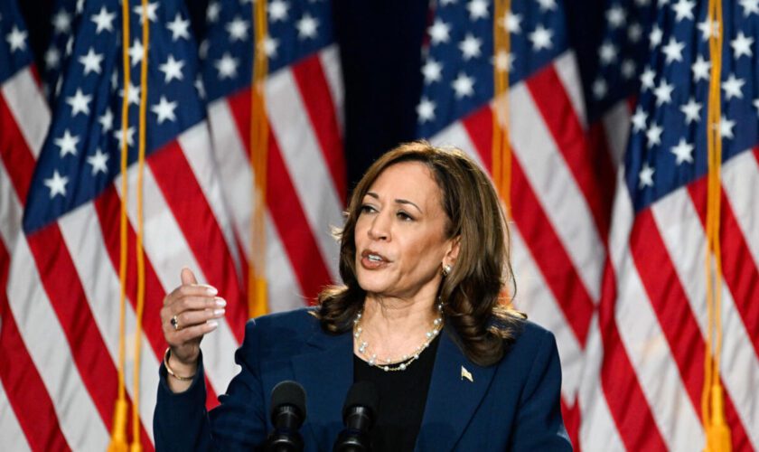 "Liberté" ou "chaos" : Kamala Harris lance sa campagne dans le Wisconsin et attaque Trump