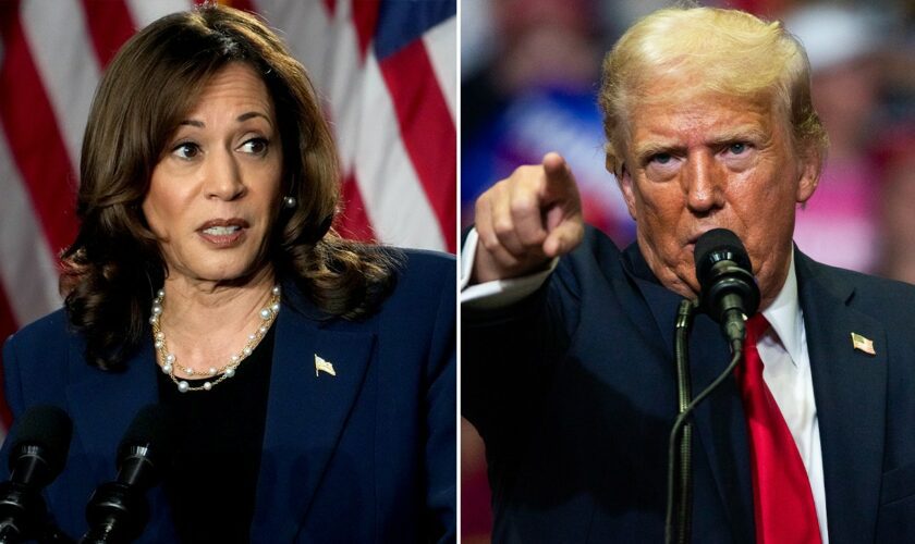 Margin of error race between Harris-Trump in new poll conducted after Biden dropped