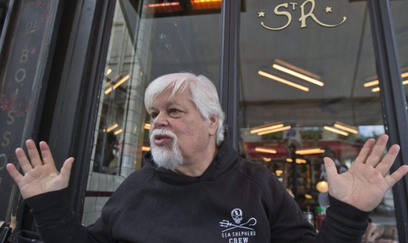 Chasse à la baleine : l’arrestation du marin militant Paul Watson au Groenland fait des vagues