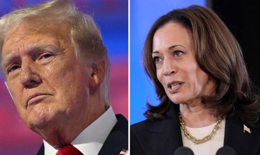 Kamala Harris vs Donald Trump : que disent les derniers sondages aux États-Unis ?