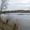 Lodge Farm Reservoir in Dudley. Pic: Google Street View