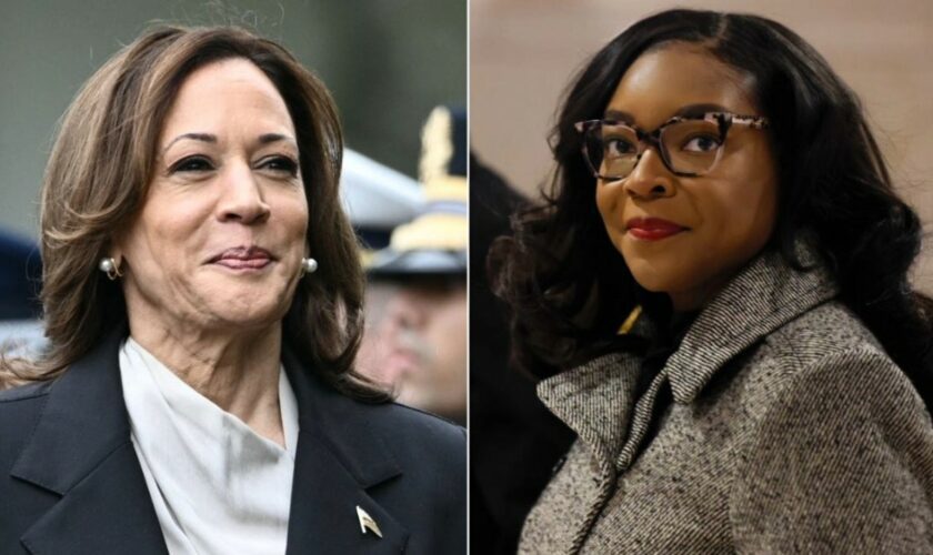 Vulnerable House Dem dodges question on VP Harris' record as 'border czar': 'Don’t know who Kamala Harris is'