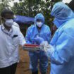 Virus Nipah : quel mode de transmission ? Quel risque de propagation en France ?