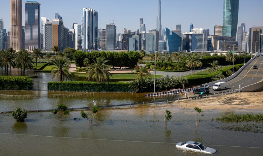 Dengue surges in UAE after record-breaking rainfall leaves ideal conditions for mosquitoes