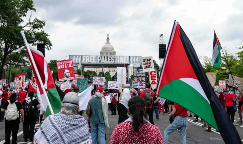 Pro-Palästina-Proteste vor US-Kapitol – Polizei nimmt mehrere Demonstranten fest