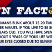 Fun Facts: Humans spend HOW LONG with their eyes closed from blinking?