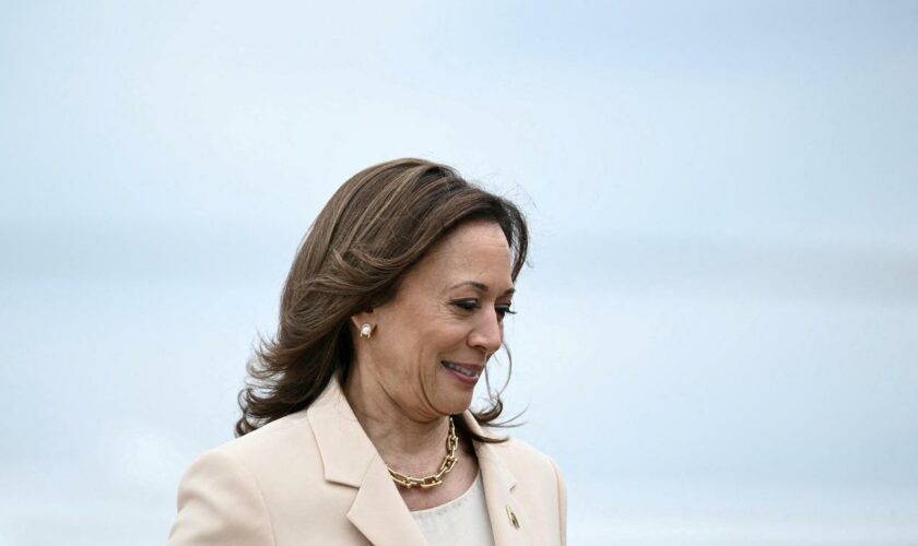 Parteitag der US-Demokraten: US-Demokraten wollen Nominierung von Kamala Harris vorziehen