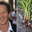 Monty Don shares essential harvesting tips for garlic and shallots to enhance your meals