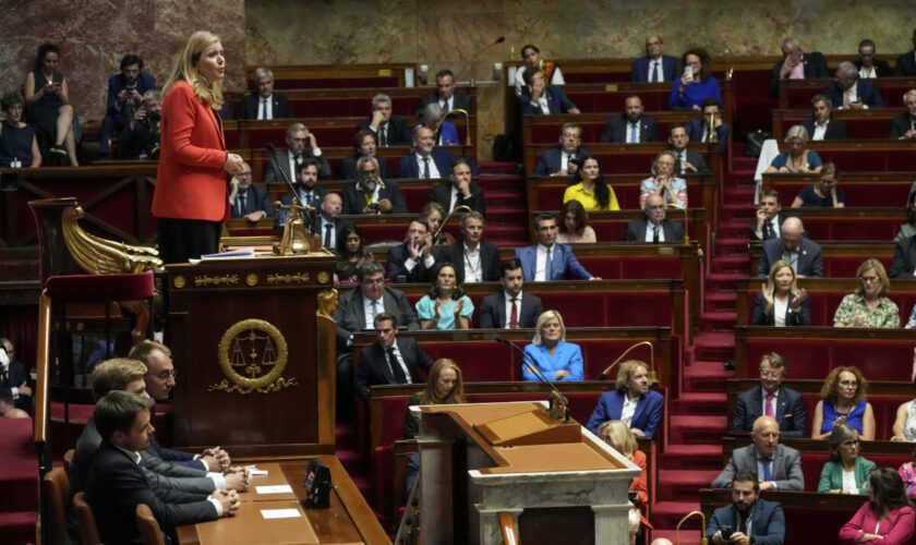 Assemblée nationale : « On ne peut préserver la démocratie par des mesures antidémocratiques »