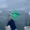 Aux États-Unis, cette baleine à bosse filmée en plein saut fait chavirer tout l’équipage d’un bateau