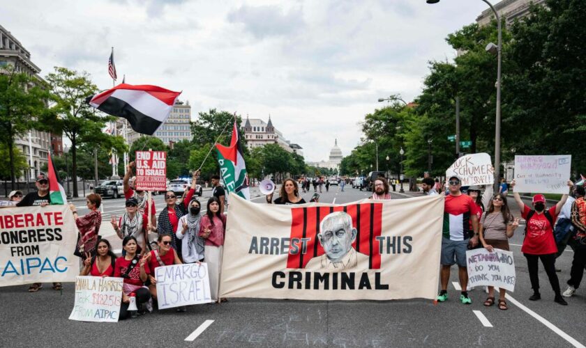 Des milliers de manifestants anti-Netanyahou près du Congrès américain avant son discours