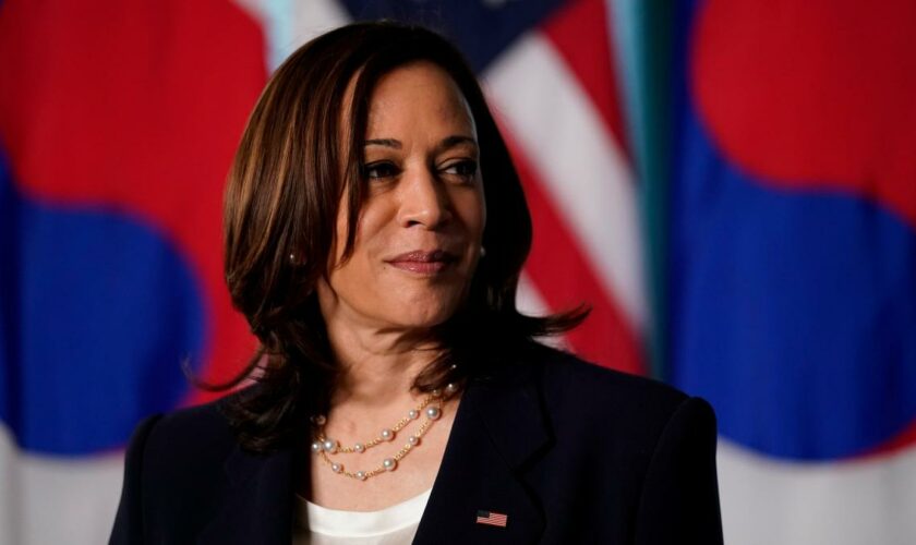 Von der Vize zum Front-Runner – kann Kamala Harris wirklich Präsidentin?