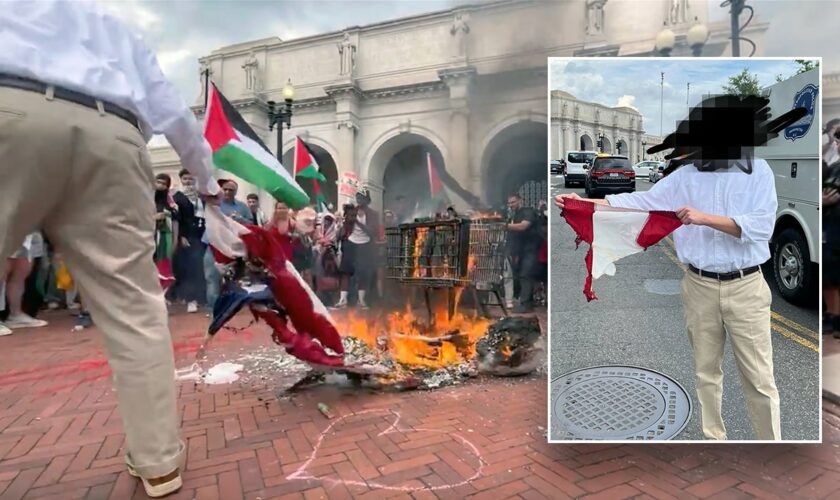 Patriot rescues fragment of Old Glory as pro-Hamas agitators burn American flag in viral video