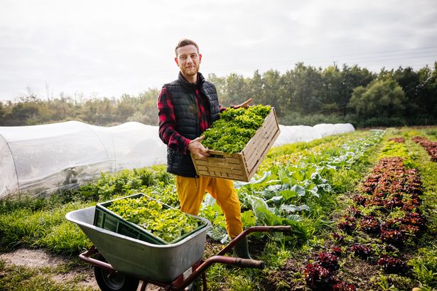 Study reveals food production chemicals as harmful as smoking for cancer risk