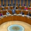 Members of the Senedd.  File pic: Senedd Cymru/Welsh Parliament