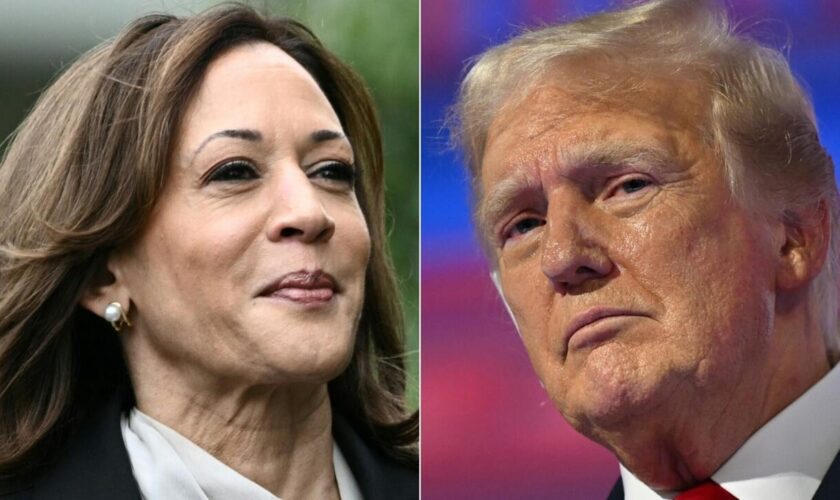 Donald Trump qualifie Kamala Harris de "folle" et de "cinglée de la gauche radicale"