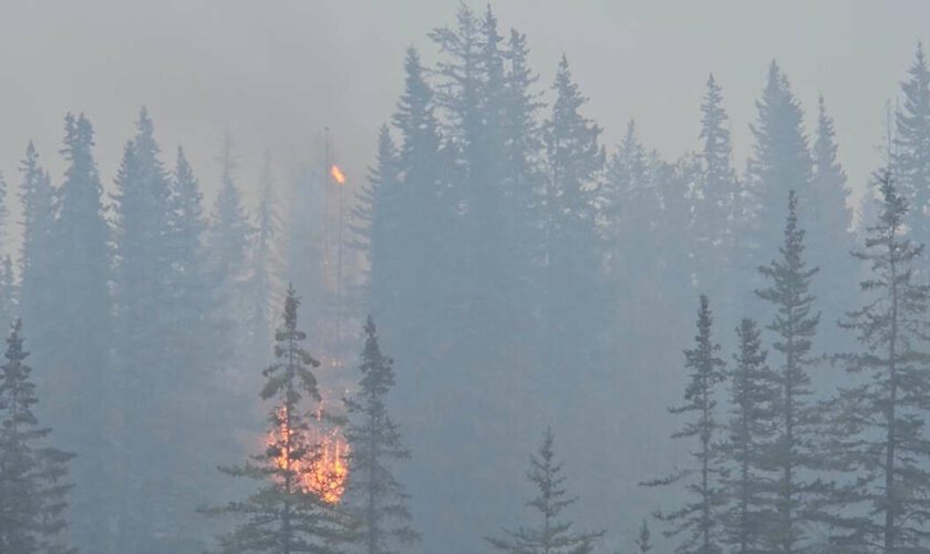 La ville canadienne de Jasper ravagée par “un mur de flammes”