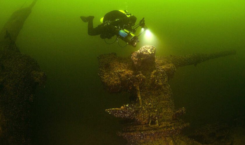 Du champagne retrouvé au fond de la Baltique, une pêche pétillante