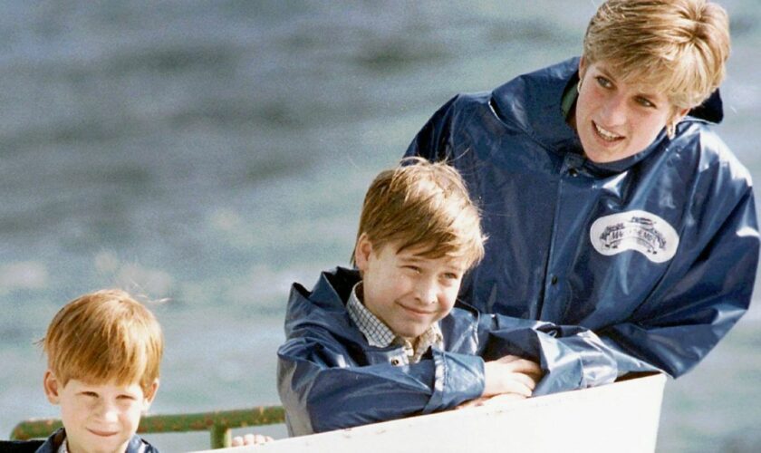 Princess Diana with Prince Harry and Prince William in Niagara Falls in 1991. Pic: AP