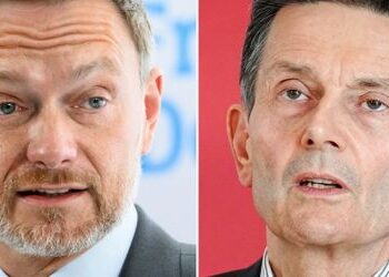 Christian Lindner sieht Rolf Mützenich als Gefahr für die Ampel