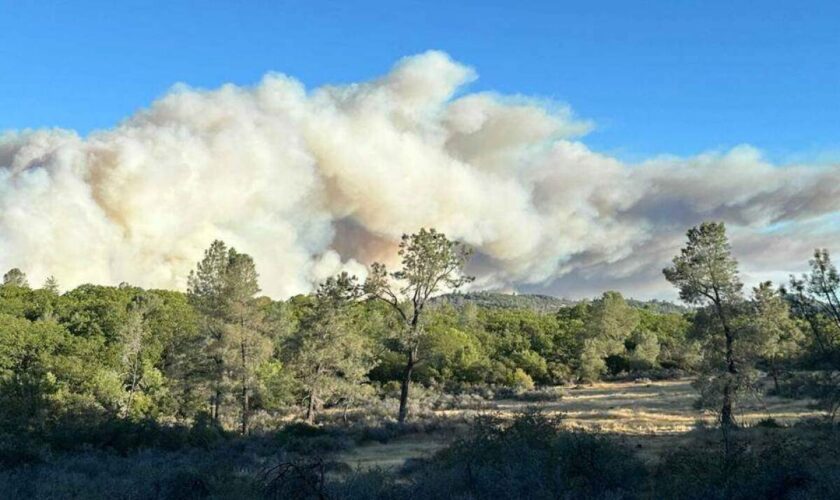 Un violent incendie ravage le nord de la Californie, en pleine vague de chaleur