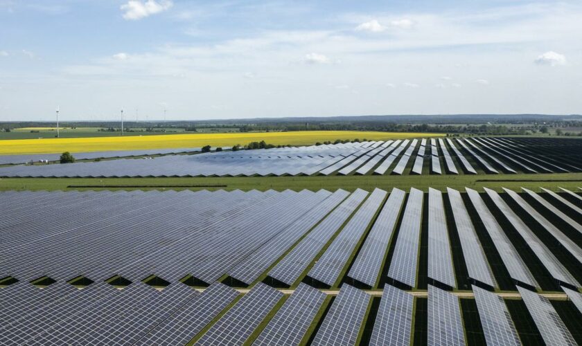 Erneuerbare Energien: Ausbau der Solarenergie gewinnt an Tempo