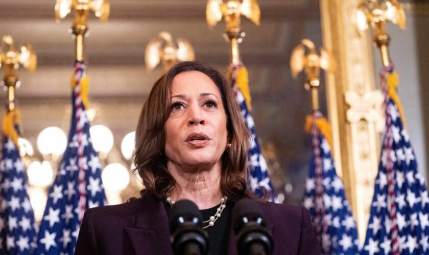 Kamala Harris promet de ne pas "rester silencieuse" sur Gaza après avoir reçu Benjamin Netanyahu