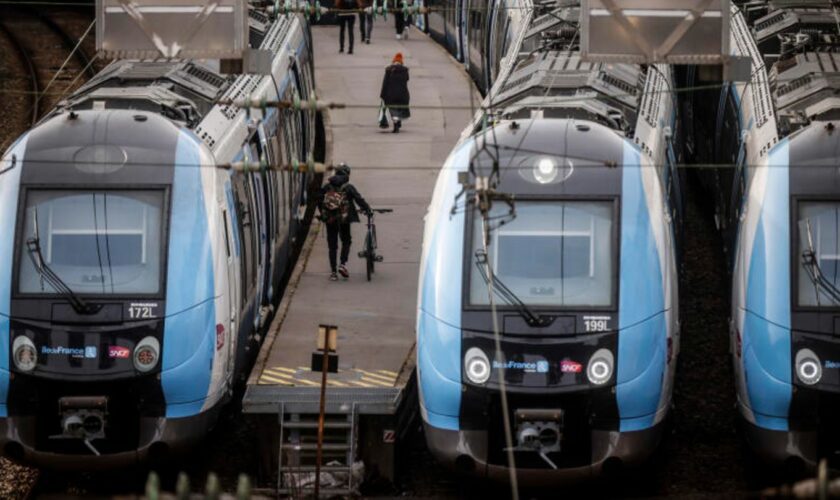 Züge stehen am Bahnhof Gare Saint-Lazare in Paris