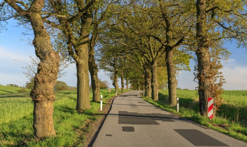 Mecklenburg-Vorpommern: Polizei löst offenbar völkisches Jugendcamp an der Ostsee auf