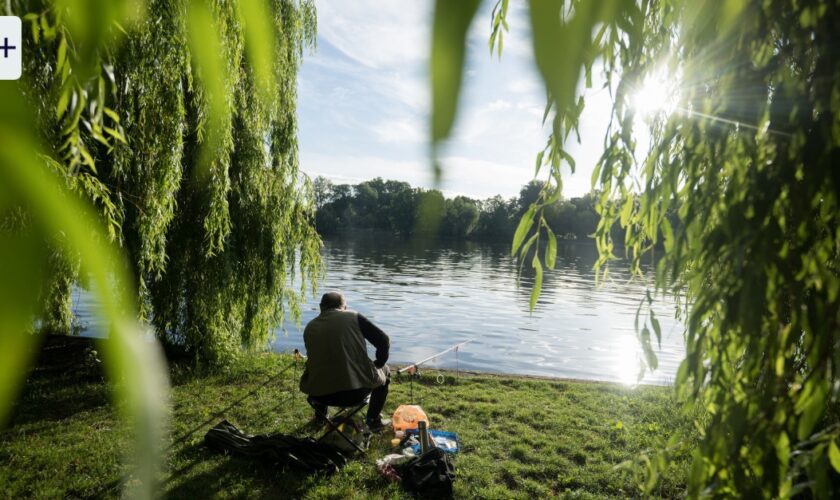 Generationenvertrag in Gefahr: Deutsche Rente? Wir Jungen sind frei zu gehen