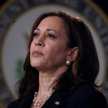 Liberal outlets, Democrats run defense for VP Harris as she continues to solidify nomination support