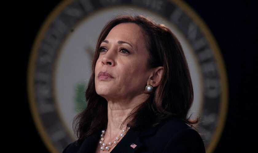 Liberal outlets, Democrats run defense for VP Harris as she continues to solidify nomination support