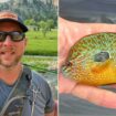 Nebraska fisherman reels in new fish species in state: 'Bright orange with turquoise'