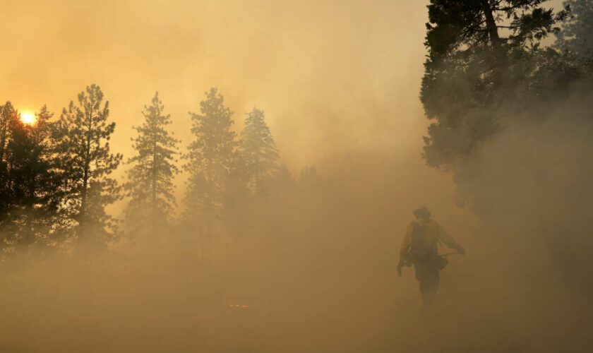 Mégafeu en Californie, Trump, Dupont : les informations de la nuit