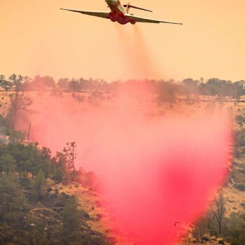 Etats-Unis : un méga-feu en cours devient l’un des plus gros recensés en Californie