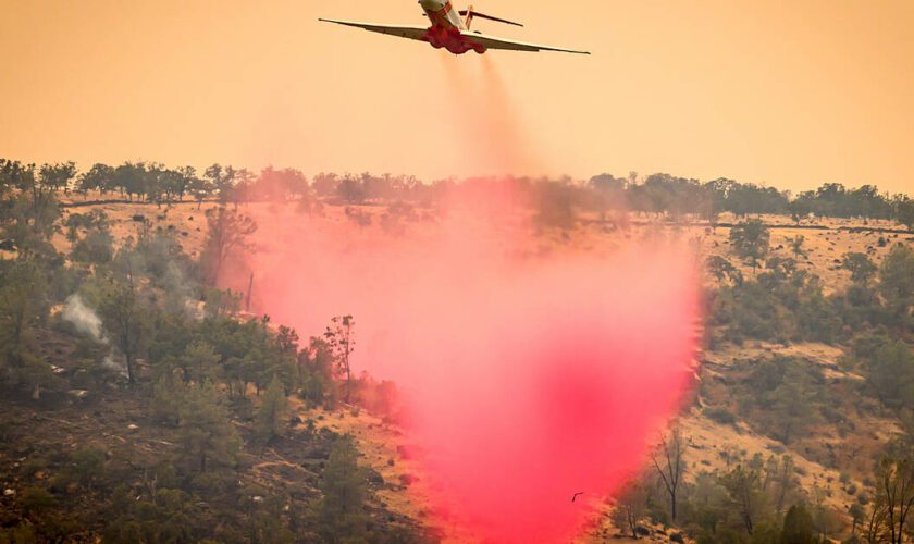 Etats-Unis : un méga-feu en cours devient l’un des plus gros recensés en Californie