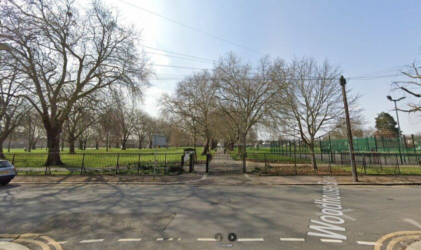 Plashet Park in East Ham, Newham. Pic: Google Street View