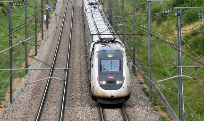 Sabotage sur le réseau LGV de la SNCF : les réparations sont «totalement» terminées