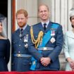 William and Kate 'were petty and jealous' about British public's love for Meghan Markle