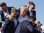 Trump defends 'brave' Secret Service agent who 'shielded' him during assassination attempt after woman was attacked by online trolls: 'She wanted to take a bullet'