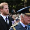 King Charles handed Prince Harry a 'substantial sum' after backlash - and cash worries continue