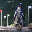 JO de Paris : derrière le cheval de Stéphane Landois au concours complet d’équitation se cache une tragédie