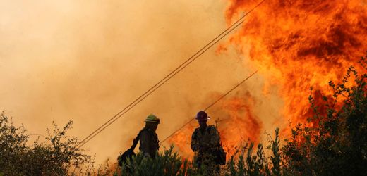 Kalifornien: Waldbrand breitet sich weiter aus - Umweltkatastrophe in den USA