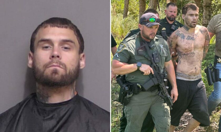 Escaped Florida felon who allegedly faked injury screams in agony as K-9 drags him from hiding spot in woods