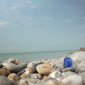 A plastic bottle washed up on Brighton beach