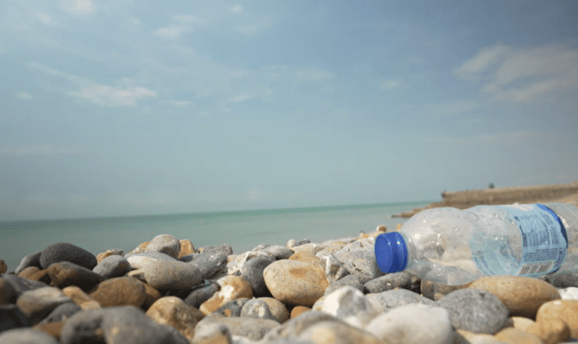 A plastic bottle washed up on Brighton beach