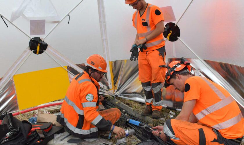 Attaques coordonnées contre le réseau SNCF :  un militant d’ultragauche interpellé sur un site SNCF de Seine-Maritime