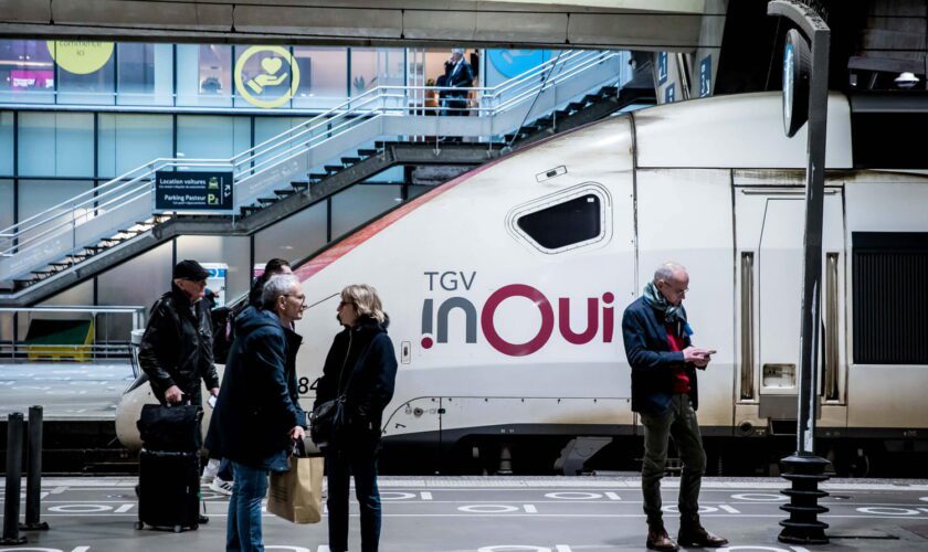 DIRECT. Trafic SNCF : retour à la normale ce lundi, 100 000 personnes ont vu leur train "réellement annulé"