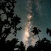 The Perseid meteor shower over Sri Lanka in 2023. File pic: Reuters/Thilina Kaluthotage/Cover Images